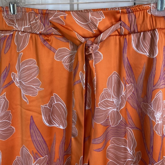 Gorgeous Satiny Joie Palazzo Pants - Picture 6 of 9